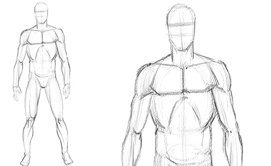 Corpo Masculino - Iremos estudar o corpo humano com foco no masculino.