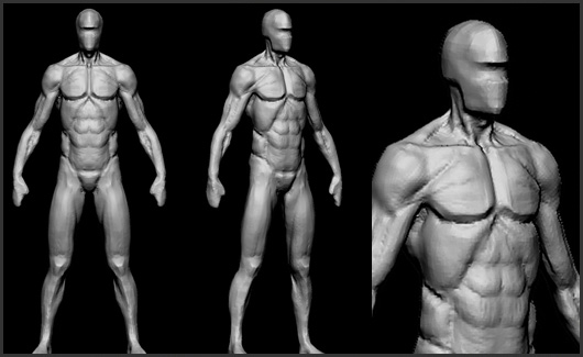 Corpo Masculino - Iremos estudar o corpo humano com foco no masculino.